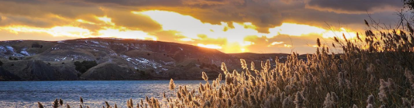 Photo courtesy of Ron Duvall